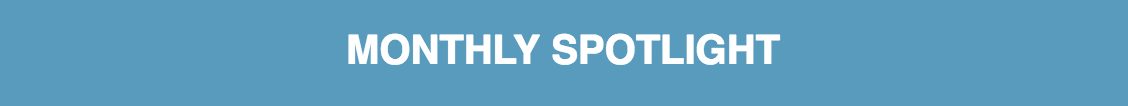 MONTHLY SPOTLIGHT